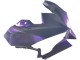 2024-2025 Kawasaki Ninja 500 EX500R Motorcycle Fairings - Chameleon Grey Dazz Pearl Purple Canada