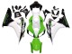 2006-2007 Honda CBR1000RR Motorcycle Fairing - White Green Glossy Black Canada